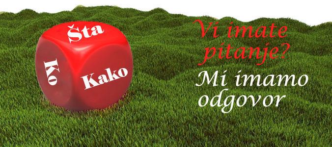 Prva strana na google